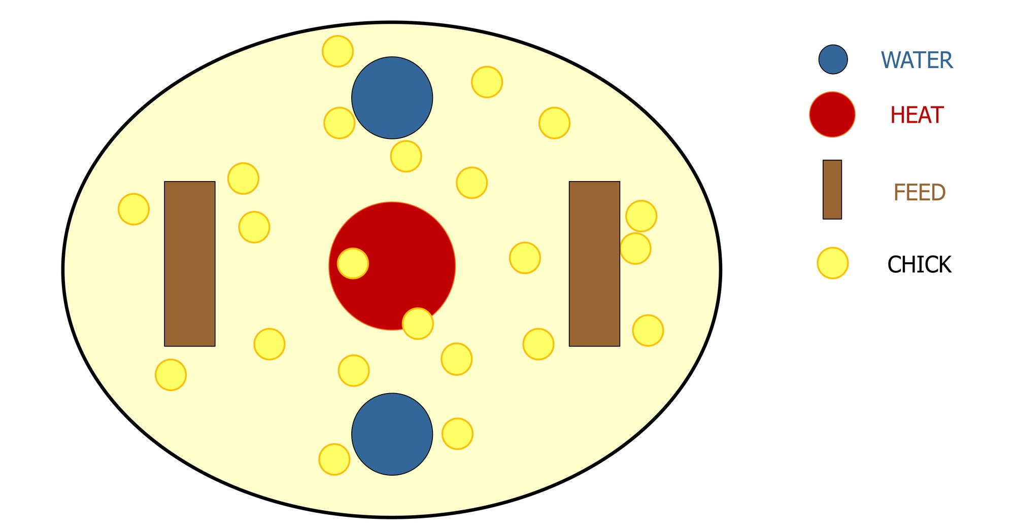 Brooder Temperature & Chick Behavior