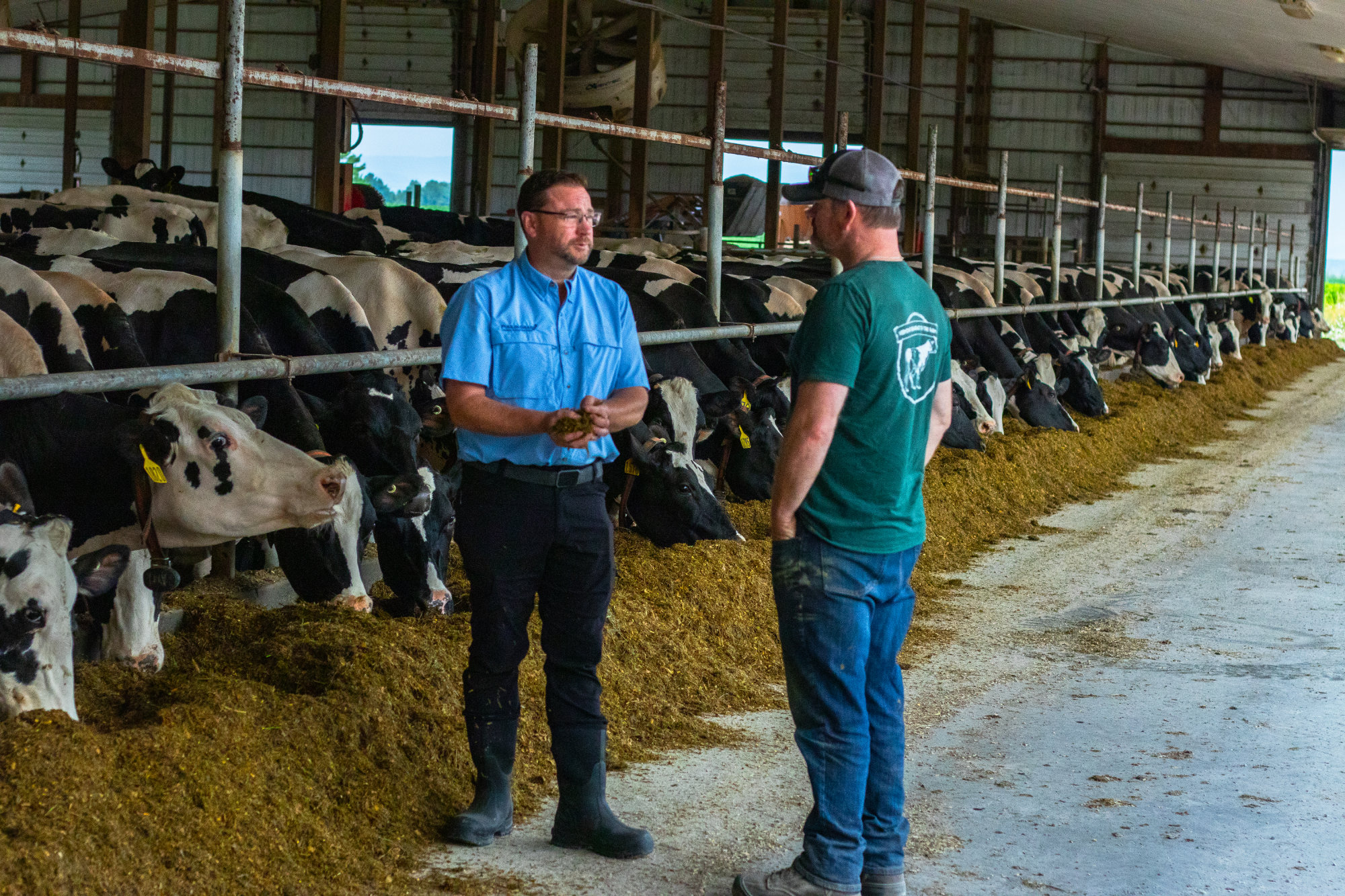 Feed and forage specialists