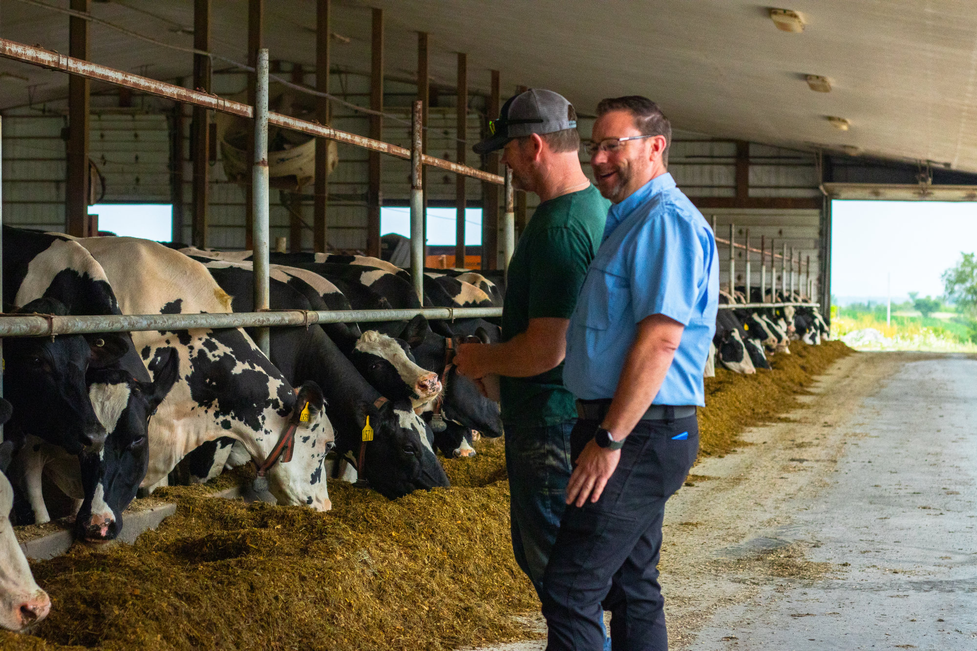 Dairy nutritionists