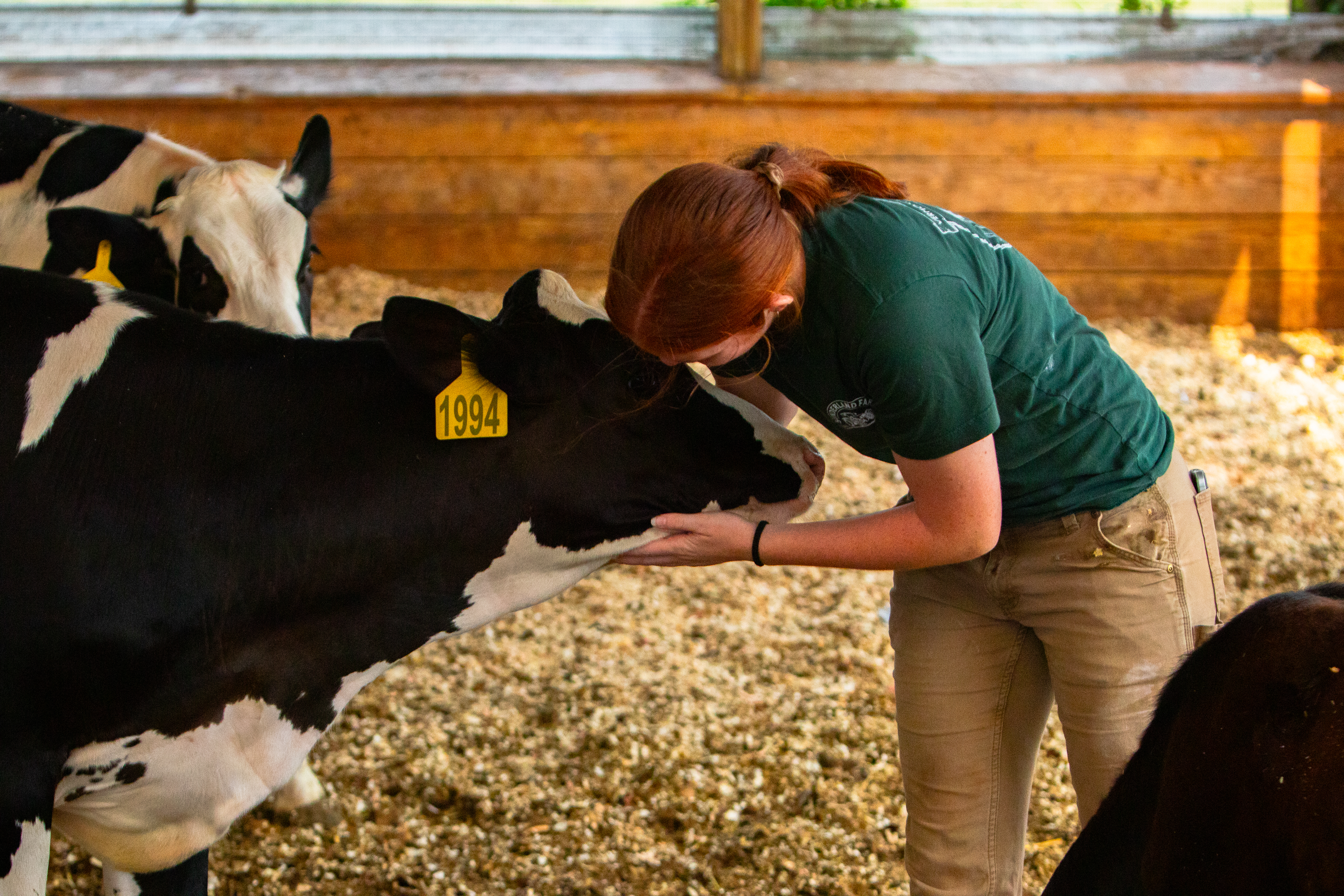 Veterinarians