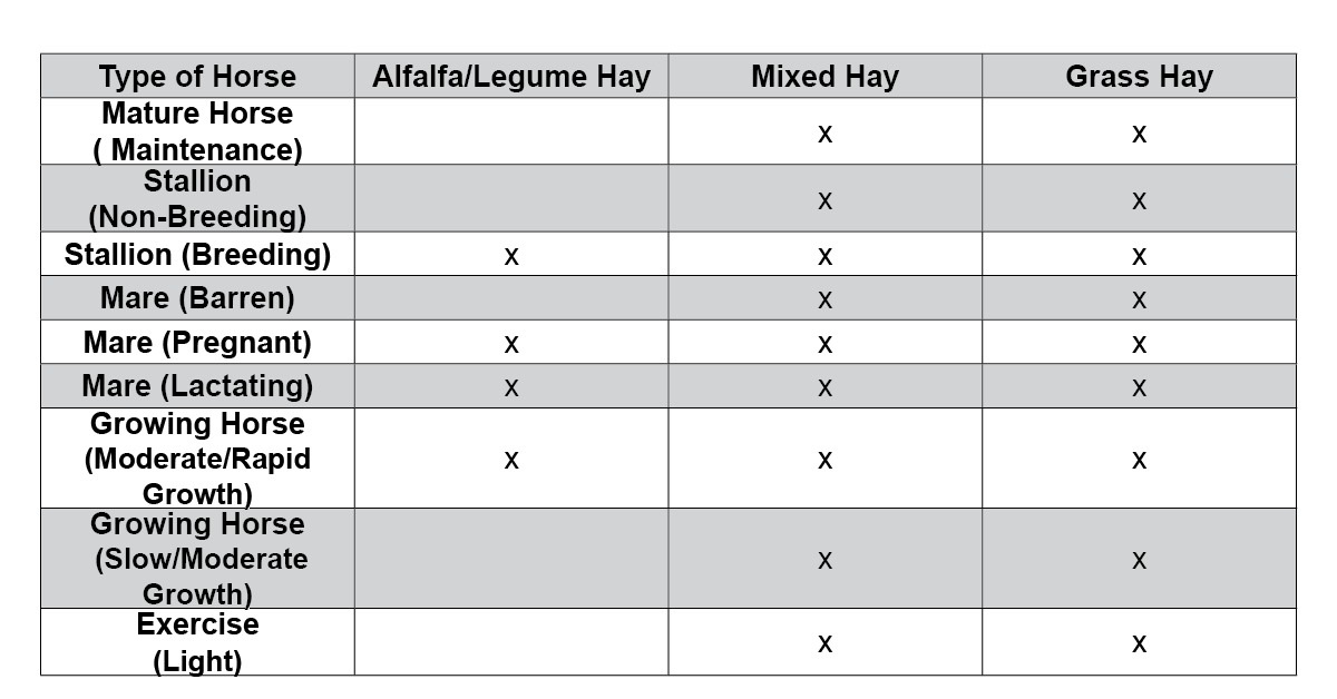 Hay-101-table-1