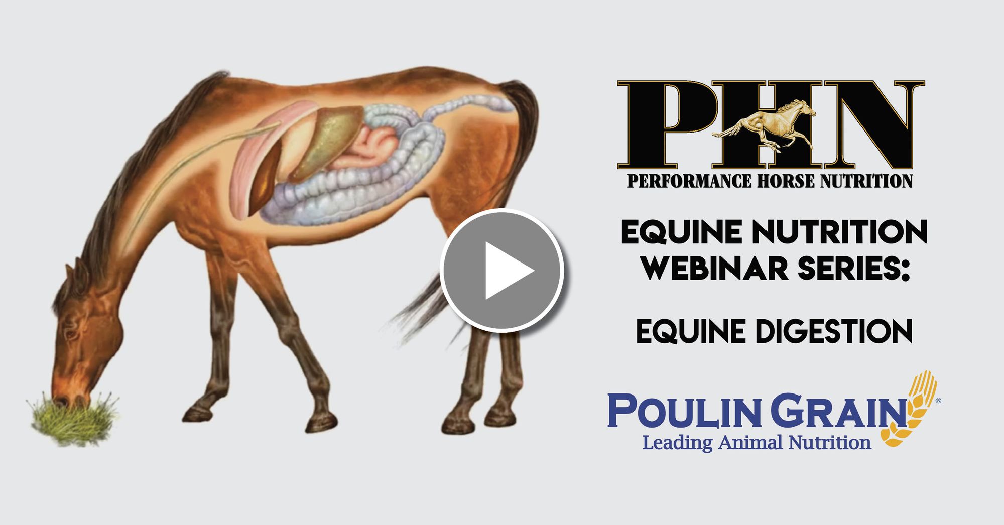 (PART 1) PHN inar Series Equine Digestion