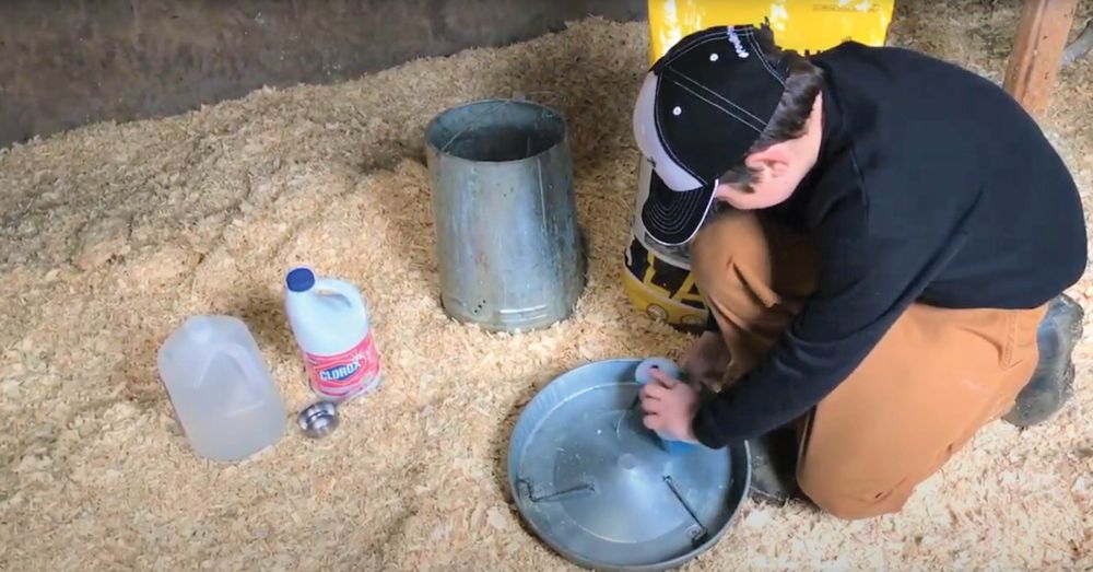 Cleaning Chicken Feeders
