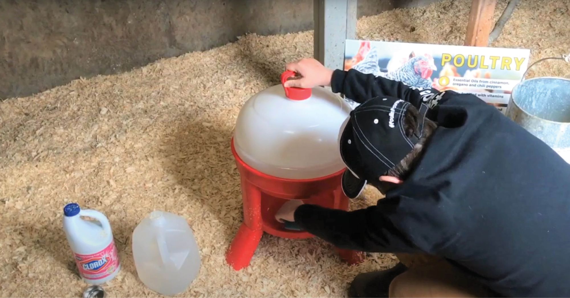 Cleaning Chicken Feeders