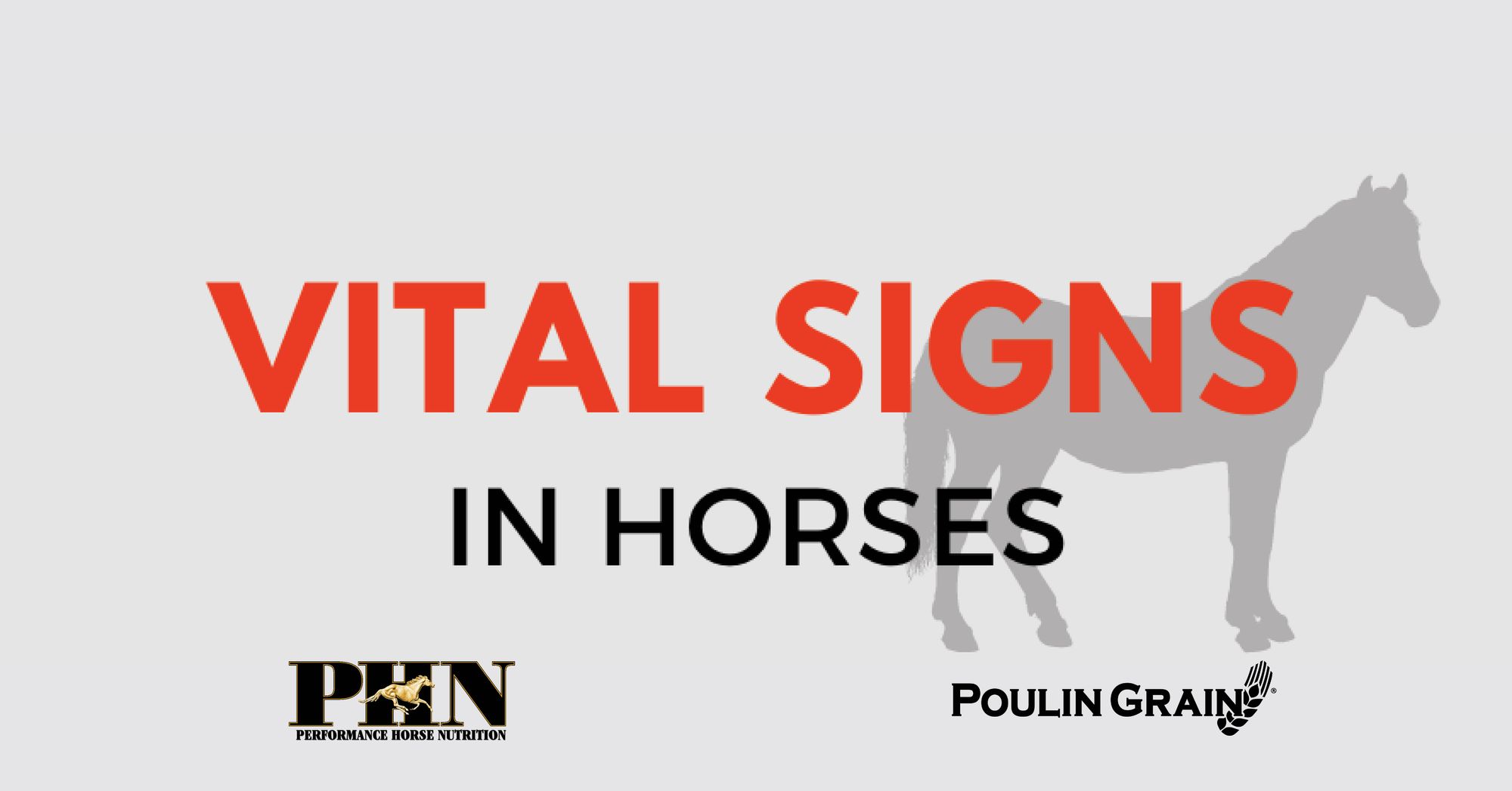 Vital Signs in Horses
