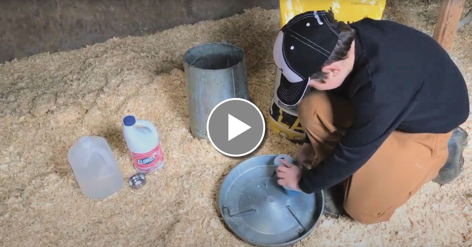 Cleaning Chicken Feeders