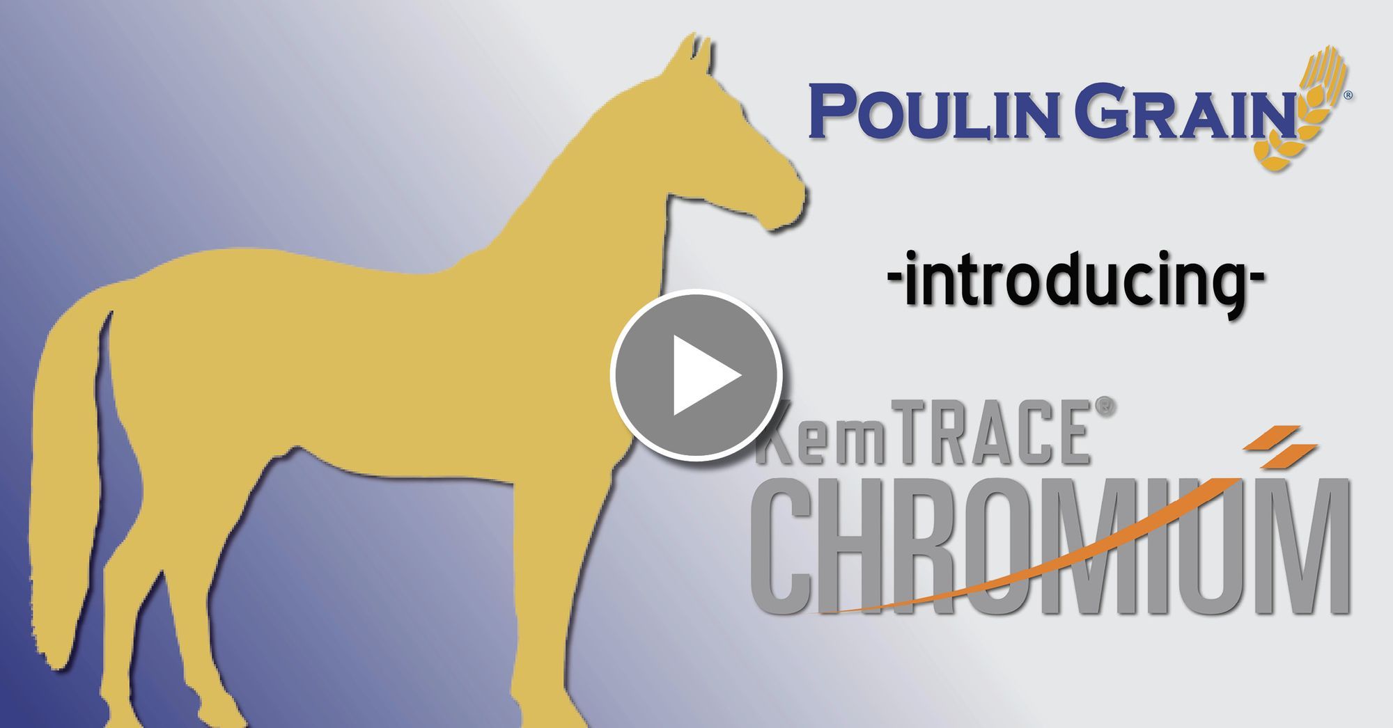 KemTRACE® Chromium for Horses: Webinar Recording