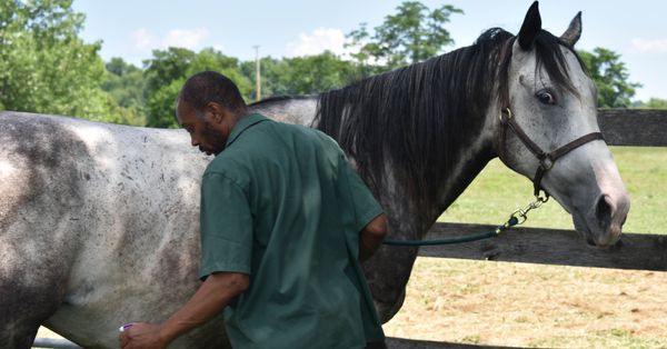 #PoulinPowered Highlight: Thoroughbred Retirement Foundation at Wallkill