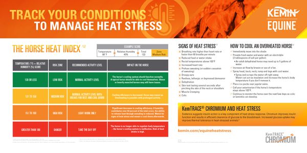 Chromium and Equine Heat Stress