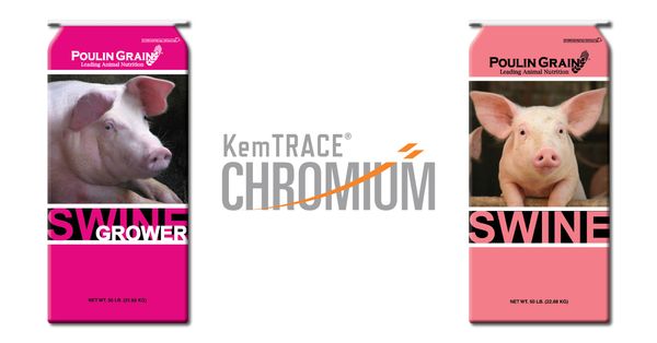 Swine Feeds Now With Chromium