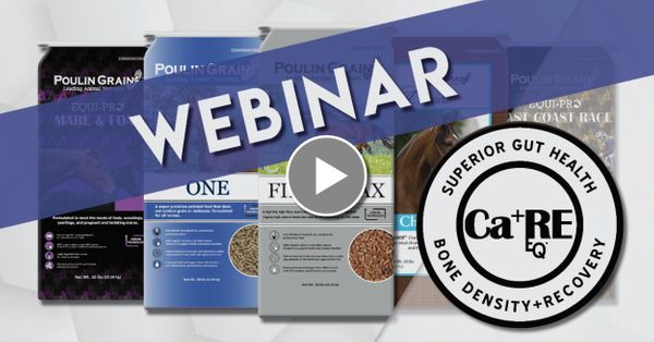 Ca⁺RE EQ™ Webinar