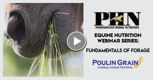 (PART 2) PHN Webinar Series: Fundamentals of Forage