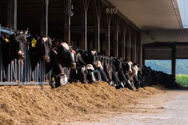Trends from our Most Profitable Dairy Farm Customers