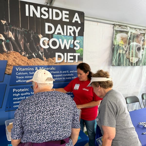 They came for the cows, they left with connection.