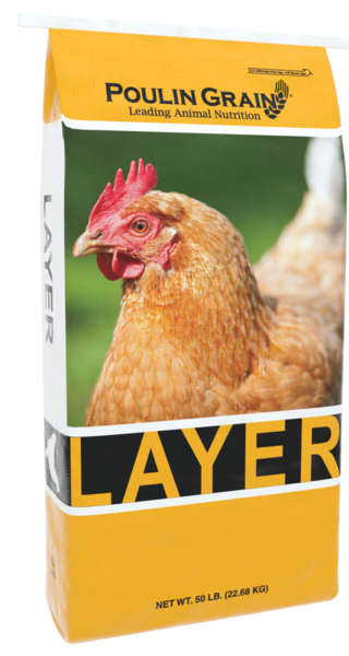 Premium Layer Mash bag image