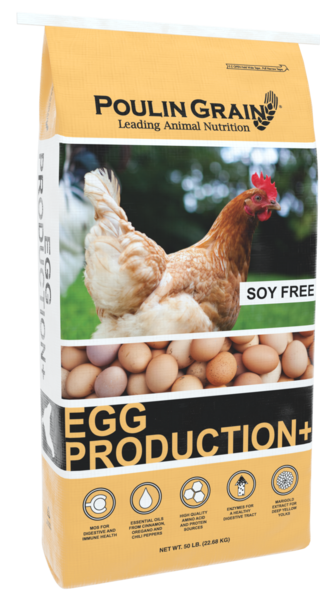 Egg Production Plus bag image