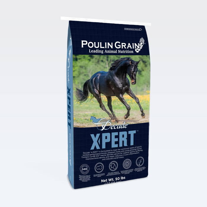 Decade® X-PERT Super Bites (Previously Challenger - Super Bites) bag image