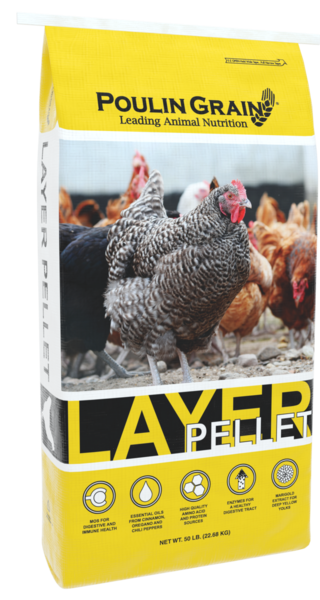 Premium Layer Pellet bag image