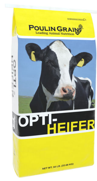 *NEW* AlphaLine® Transition Heifer Pellet bag image