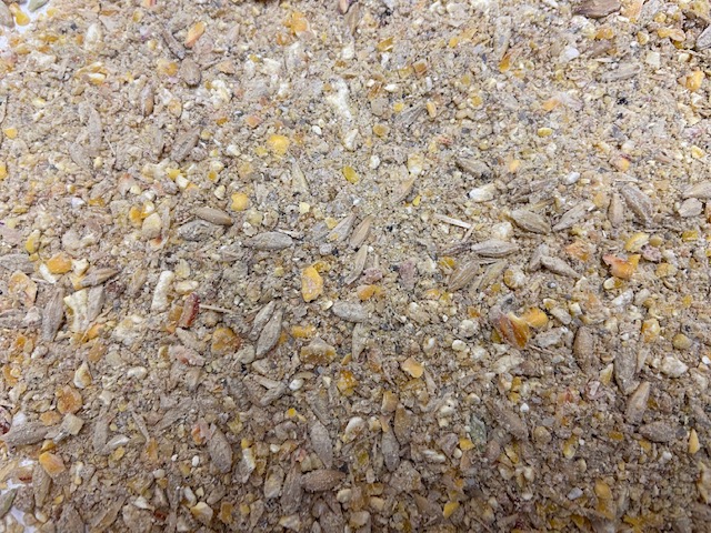 Organic Coarse Layer Mash feed closeup image