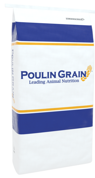*NEW* Cattle 40 Show Pellet bag image