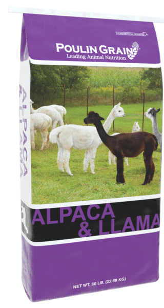 Northeast Alpaca & Llama Maintenance bag image