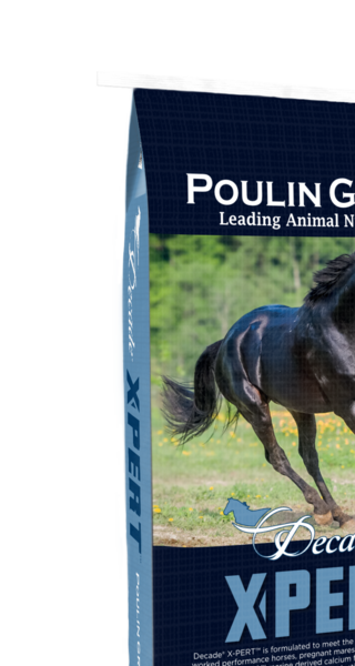 Decade® X-PERT Super Bites (Previously Challenger - Super Bites) bag image