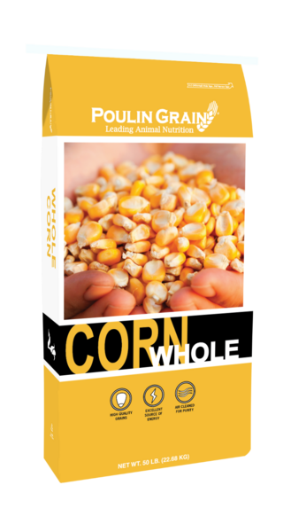 Whole Corn bag image
