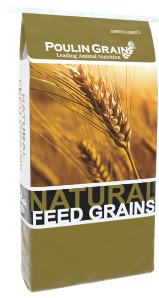 Soybean Meal bag image