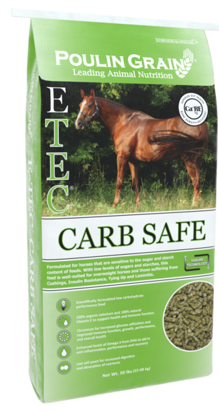 E-TEC® Carb Safe bag image