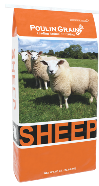 Sheep Complete Pellet bag image