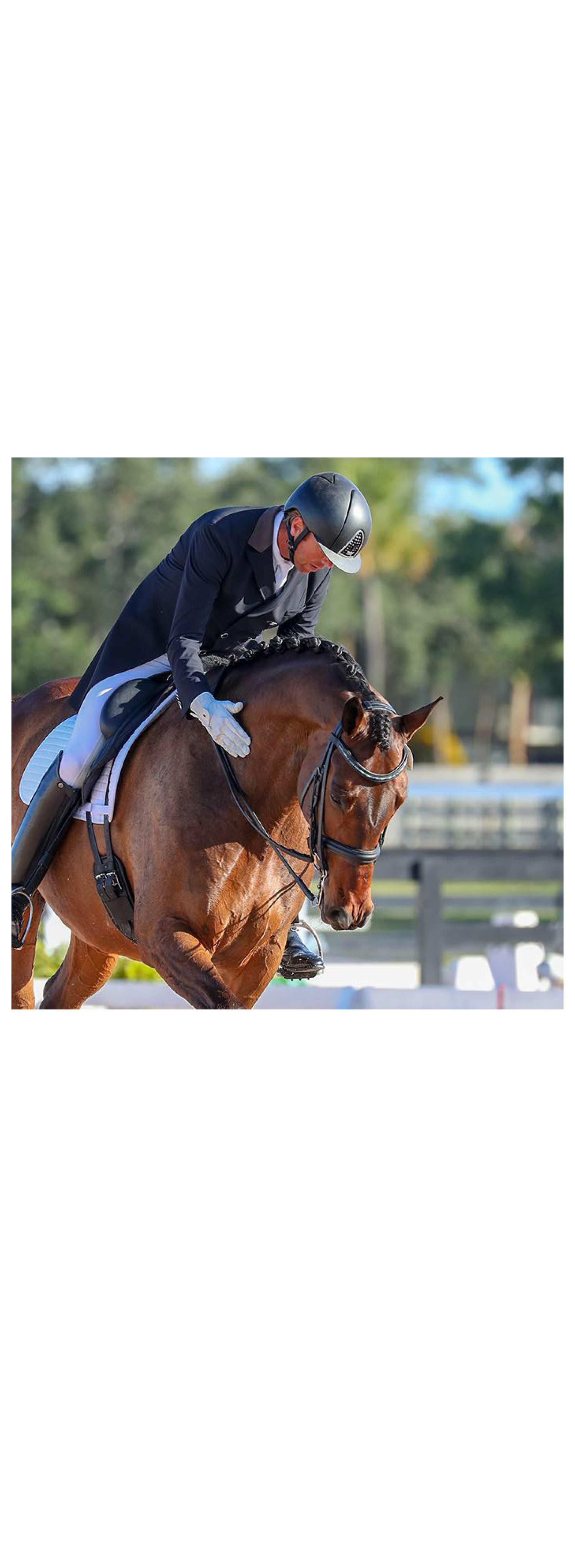 Freeport Equestrian showcase photo