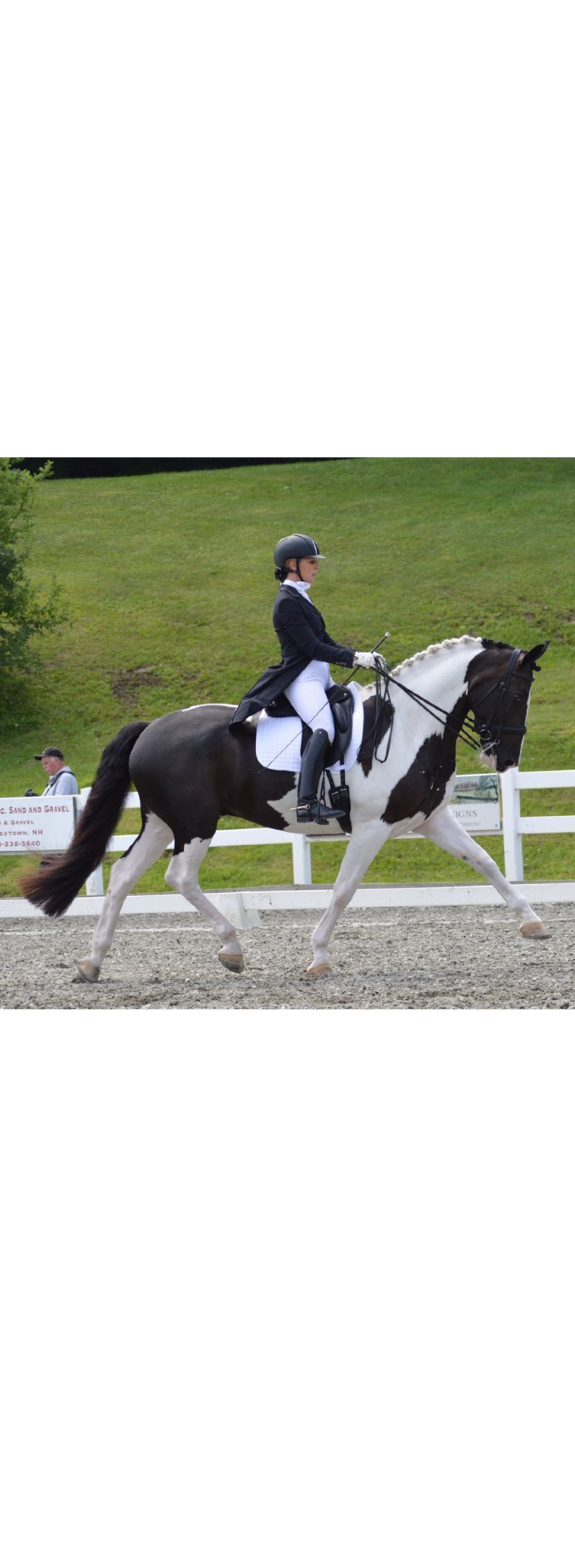 Freeport Equestrian showcase photo