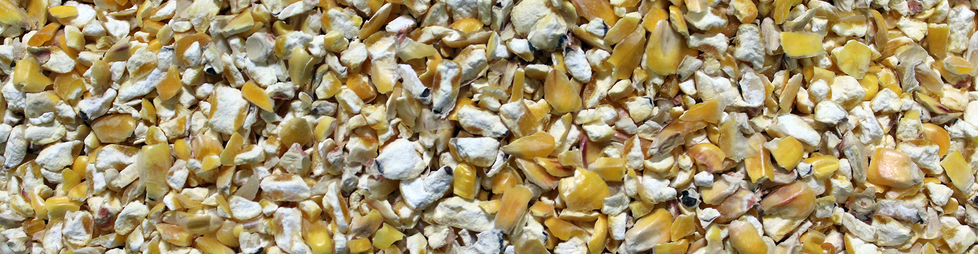 Coarse Cracked Corn feed closeup image