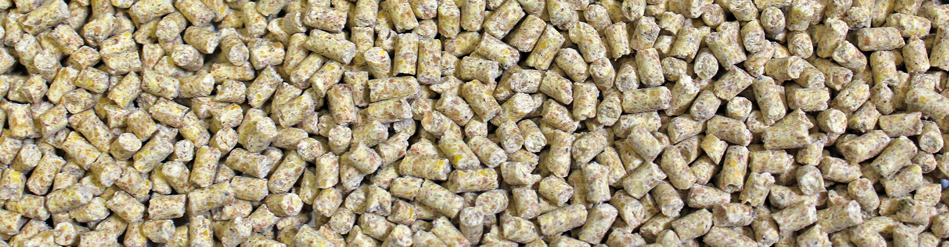 Poultry Grower/Finisher Crumblet feed closeup image