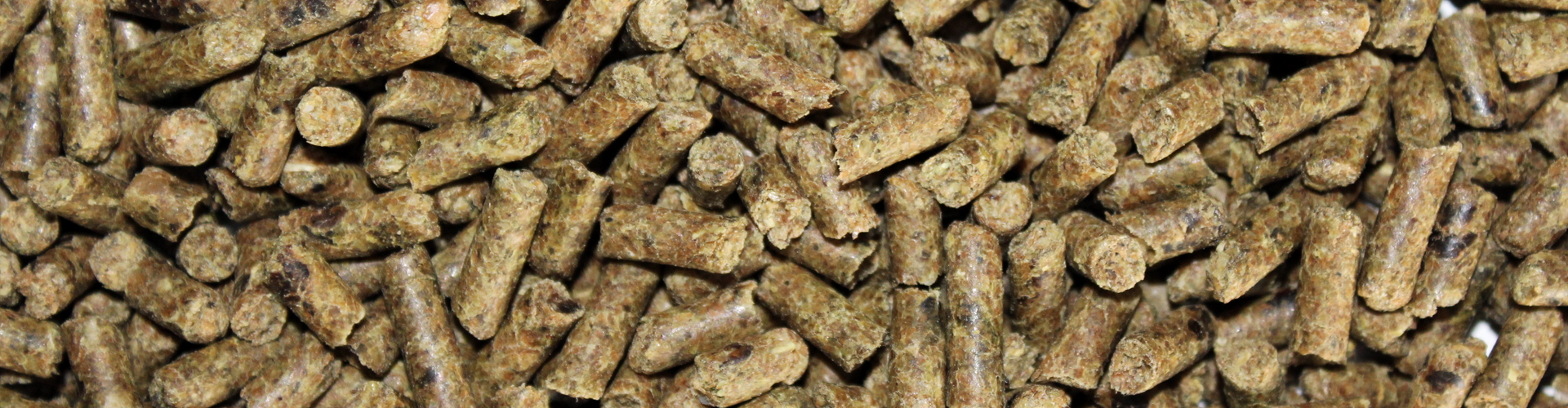 E-TEC Balancer® feed closeup image
