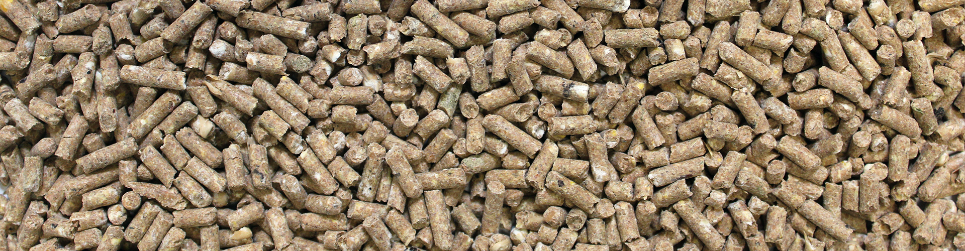 Hi-Line 16% Dairy/Beef Pellet feed closeup image