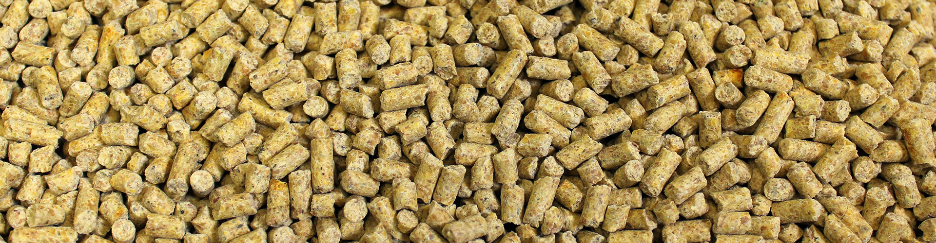 Premium Layer Pellet feed closeup image