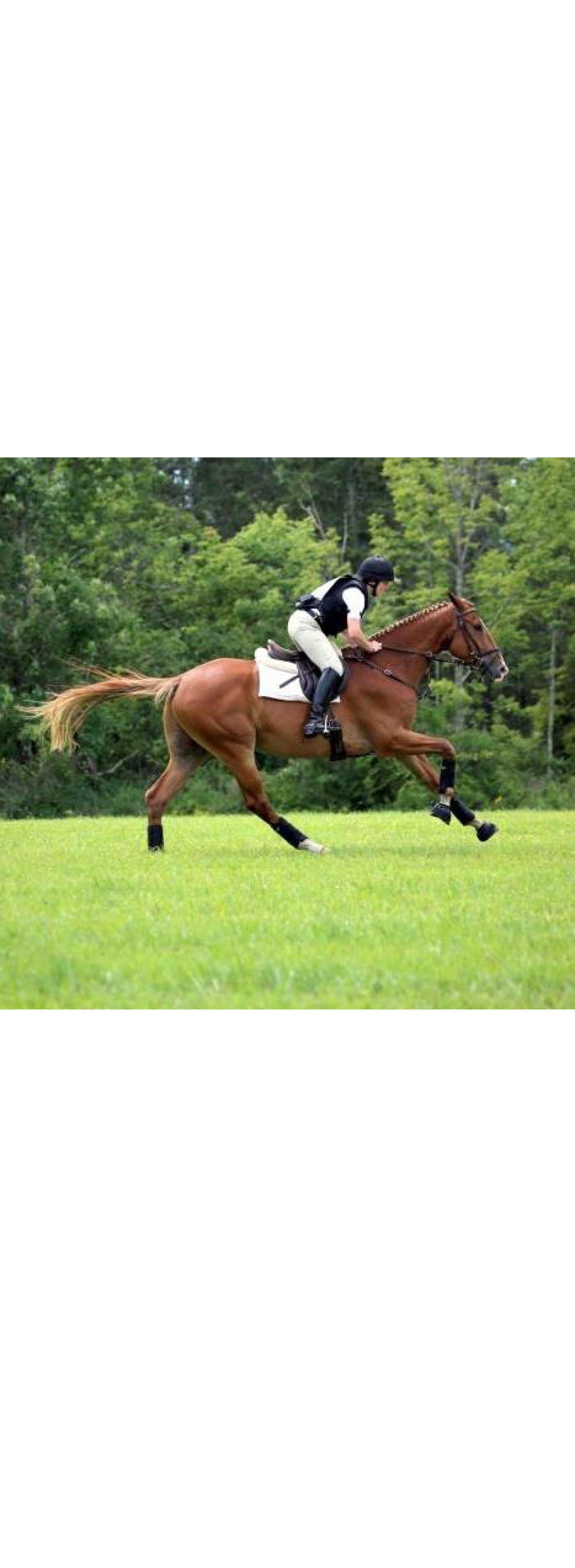 Kristen Woodworth showcase photo