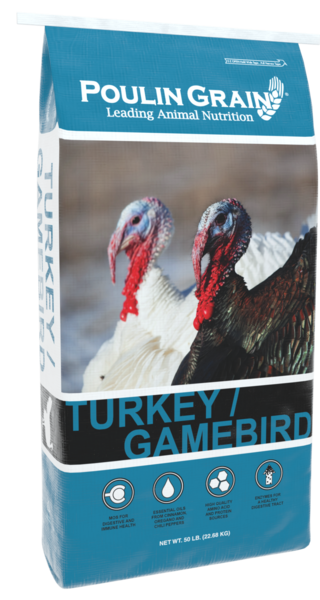 Turkey/Gamebird Starter Crumbles bag image