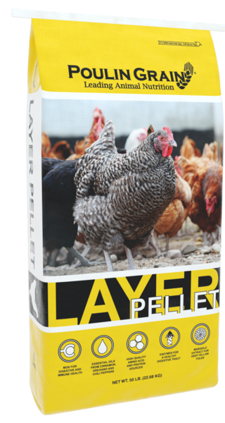 Premium Layer Pellet bag image