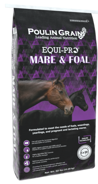 EQUI-PRO® Mare & Foal bag image