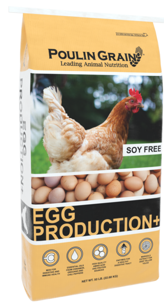 Egg Production Plus bag image