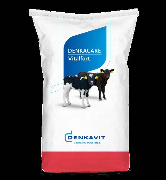 Vitalfort bag image
