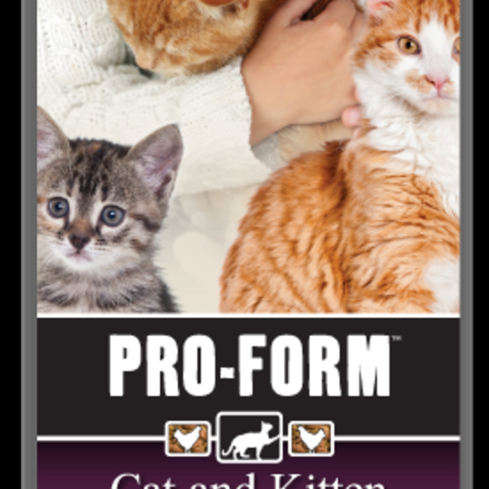 PRO-FORM® Cat and Kitten bag image