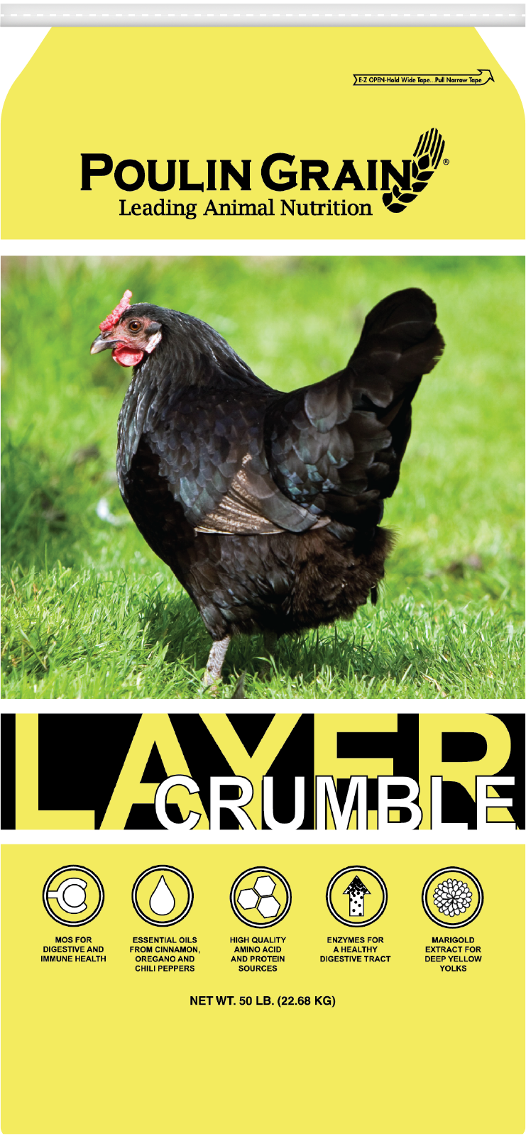 Download Premium Layer Crumble
