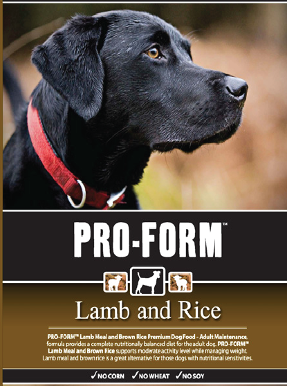 is rice good for labrador puppies